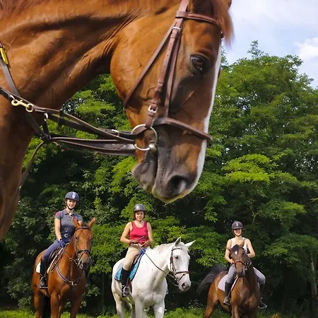 Prázdninový dům Roulottes De Le Roi